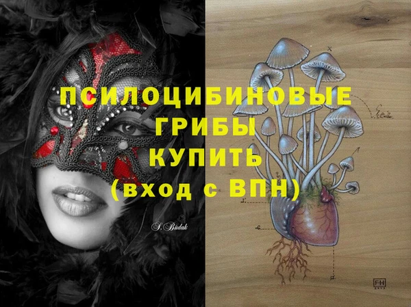 марки lsd Карпинск