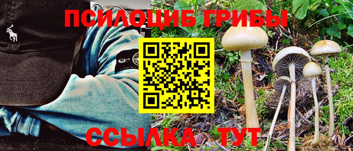 Галлюциногенные грибы Psilocybe  Галлюциногенные грибы Magic Shrooms  Вход с VPN  Сорочинск 